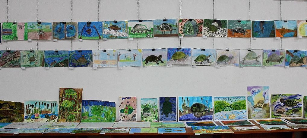 International Art Contest for Primary School Students International Art Contest for Primary School Students