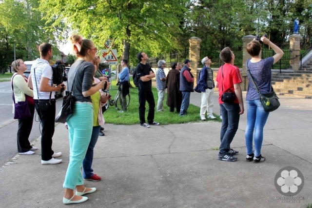 Sarlósfecske megfigyelés (Photo: Sihelnik József)