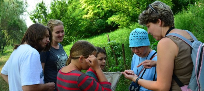 ÖKO-CAMP 2017 ÖKO-CAMP 2017