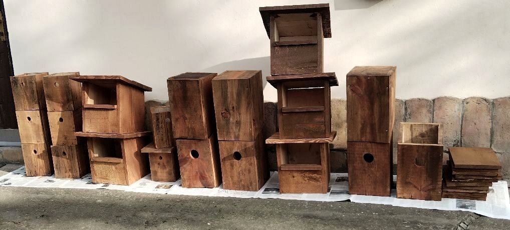 V. Őszi Természetvédelmi Oktatótábor V. Őszi Természetvédelmi Oktatótábor