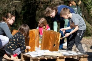 Mesterséges fészekodú festés (Photo: Mészáros Csilla) Mesterséges fészekodú festés (Photo: Mészáros Csilla)