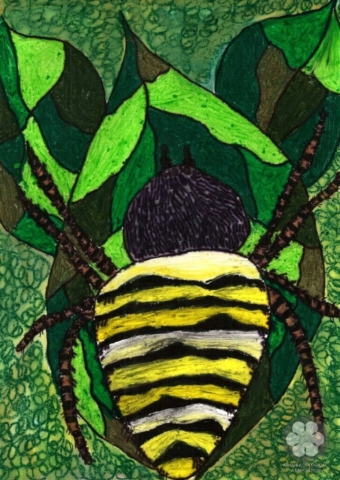 I-II. osztály - Vukov Tara, technikai különdíj