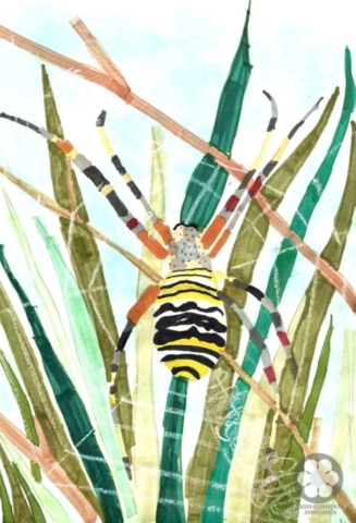 III-IV. osztály - Kristóf Abigél, 2. helyezés