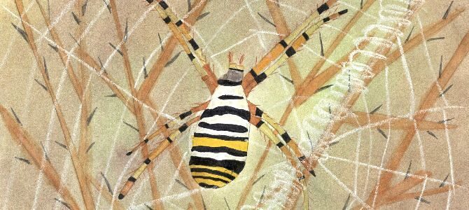 Nemzetközi Természetismereti Rajzpályázat 2026 – díjazott alkotások