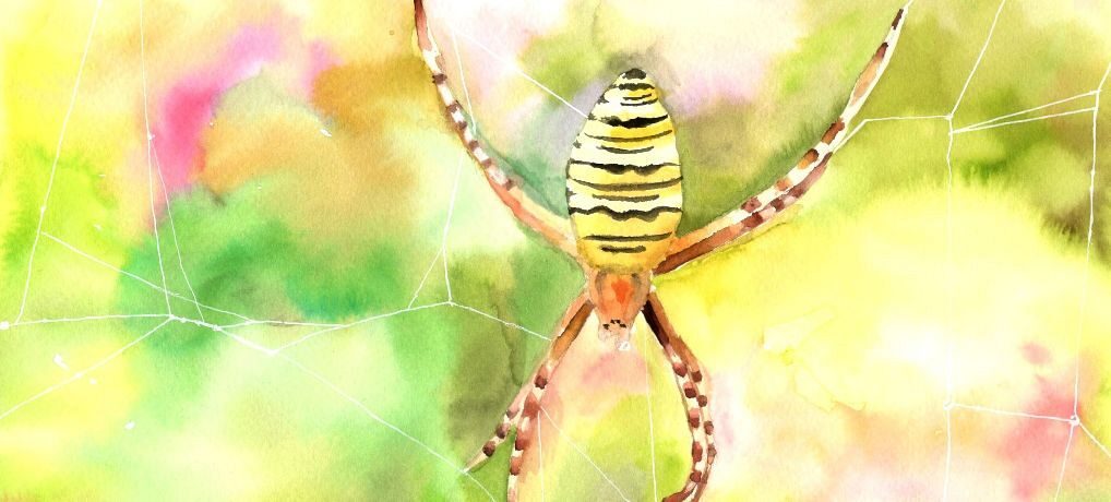 A Nemzetközi Természetismereti Rajzpályázat eredményei A Nemzetközi Természetismereti Rajzpályázat eredményei