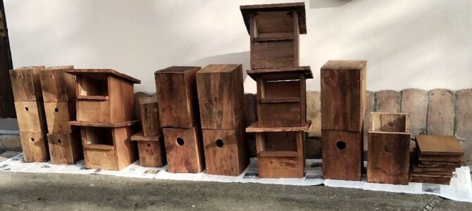 V Jesenji kamp zaštite prirode